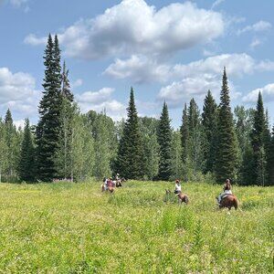 Meet your Posher, Krista